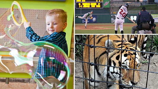 Impression 5 Science Center, Lansing Lugnuts Baseball, Potter Park Zoo