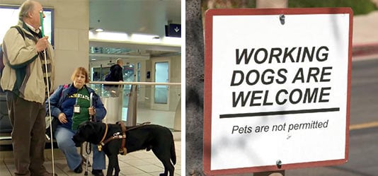 Working Dogs are Welcome. Pets not permitted.